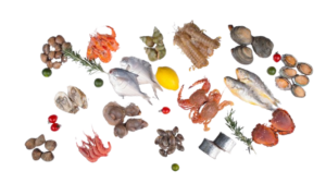 pexels-change-c-c-974768353-20810988-removebg-preview