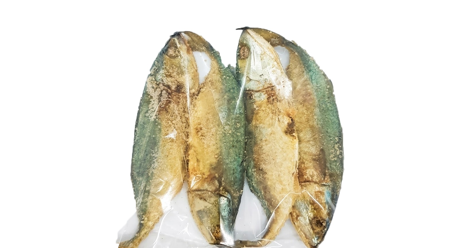 Indian Mackerel