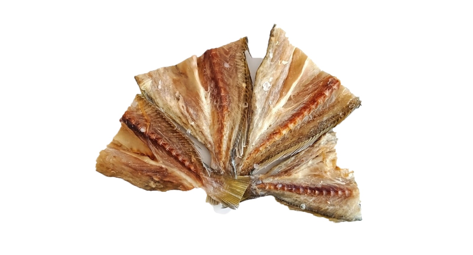 Crocker Fish