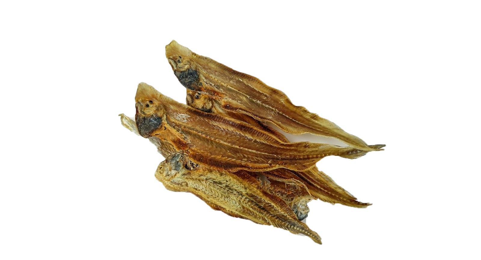 Sole FIsh