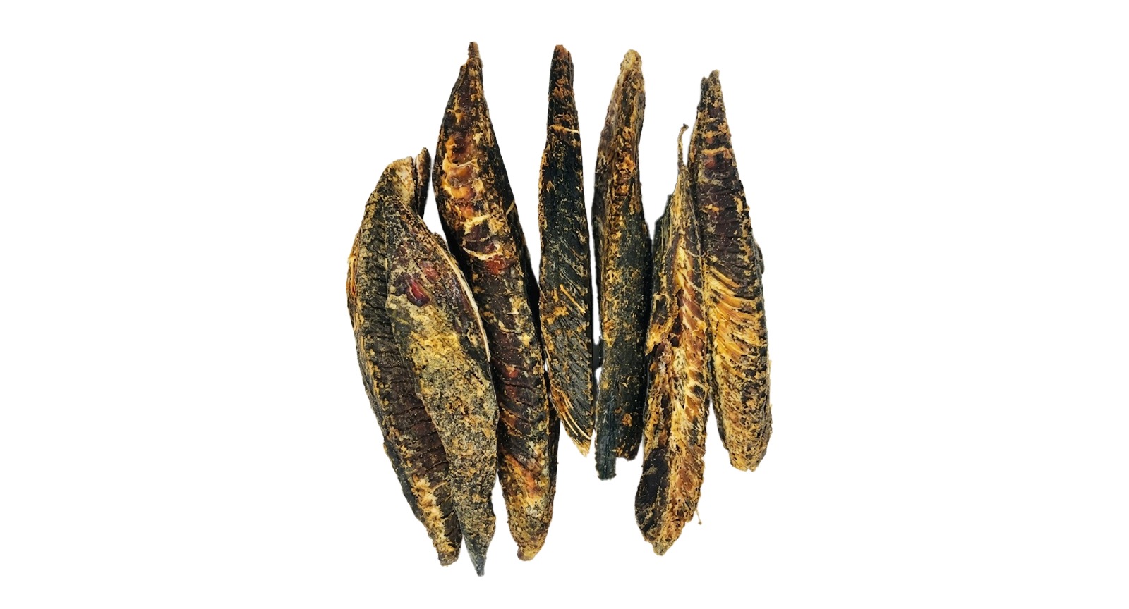 Skipjack Tuna